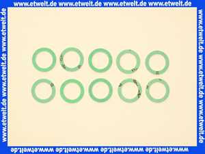 8601930 Wolf Flachdichtung 24x17x2,3/4 10St.