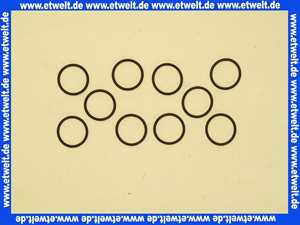 8602170 Wolf O-Ring 22,22x2,62 10 Stück