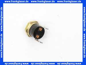 8603038 Wolf Temperaturwächter Vorlauf