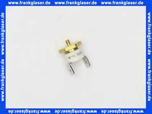 8610011 Wolf Temperaturwächter Brennkammerdeckel