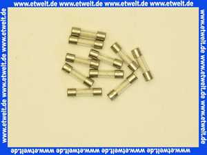 8902433 Wolf Feinsicherung 5a mittelträge 10St.