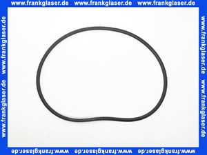 8905663 Wolf Dichtring 345 x 9,5 Doppell. COB