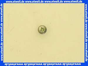 Vaillant Flachkopfschraube 118882