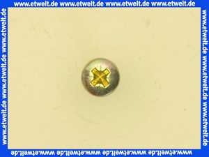Vaillant Flachkopfschraube 118885