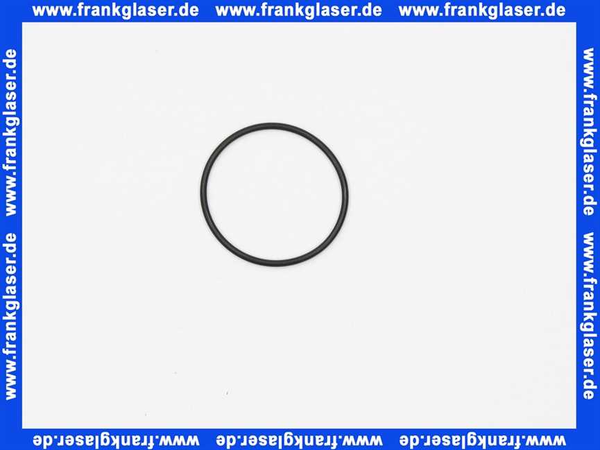 119431 Blanco Körperdichtung