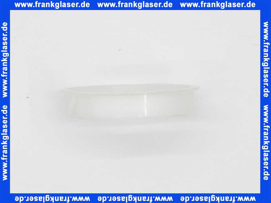 139540 Blanco Teflonring