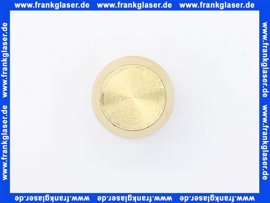 Bosch Blindstopfen D21 63045248 (Nachfolgeartikel)