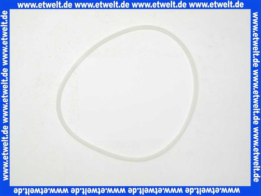 Bosch Dichtung 29/W Nr969.2018-051 7098190