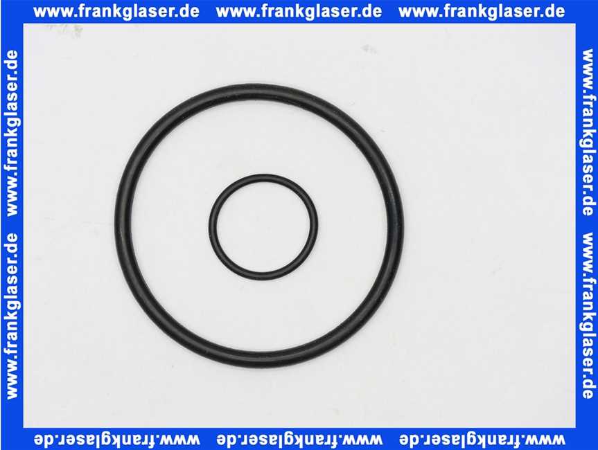 Bosch O-Ring Set für Doppelnippel 2x1 Stück 7098915