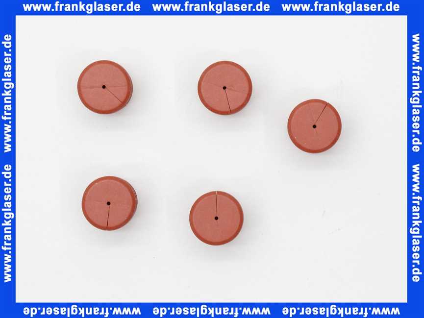 Bosch Dichtung Ionisationselektrode (5x) 7099556