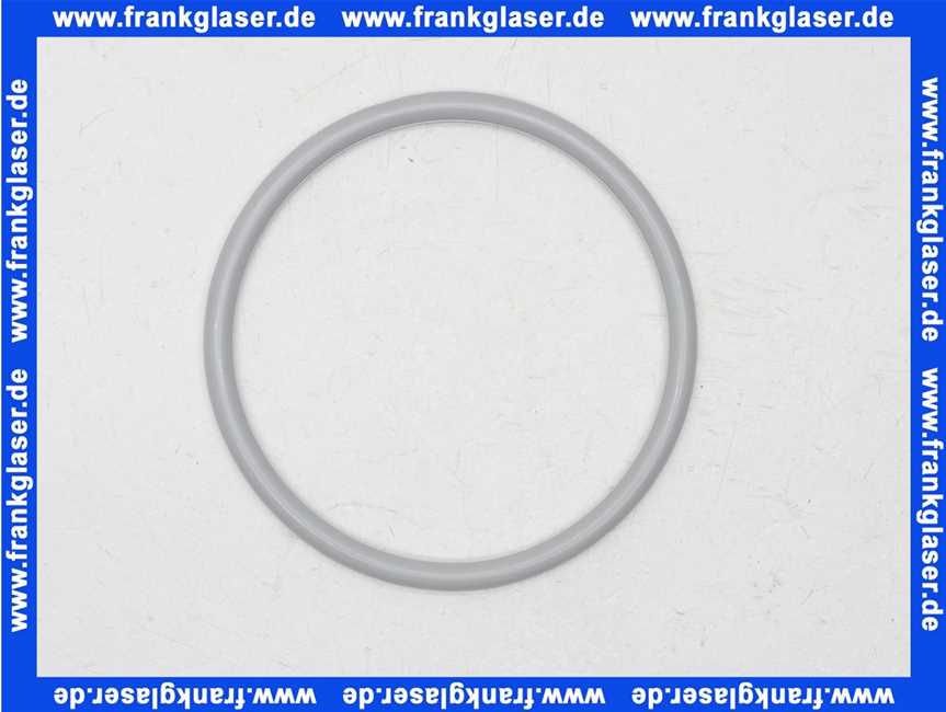 Bosch O-Ring 160x10 7747007986