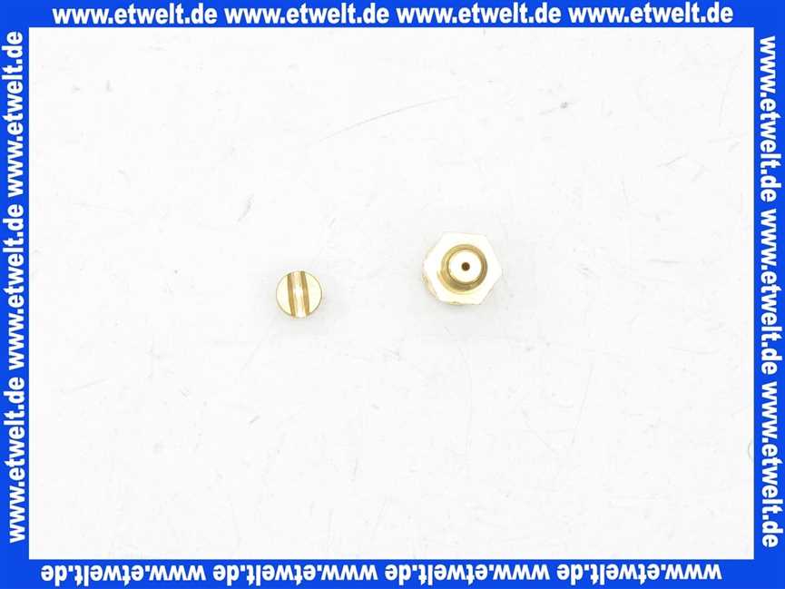 Bosch 87033051910 Druckmeßnippel