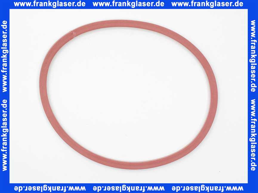 Bosch 87102030300 Brennerdichtung