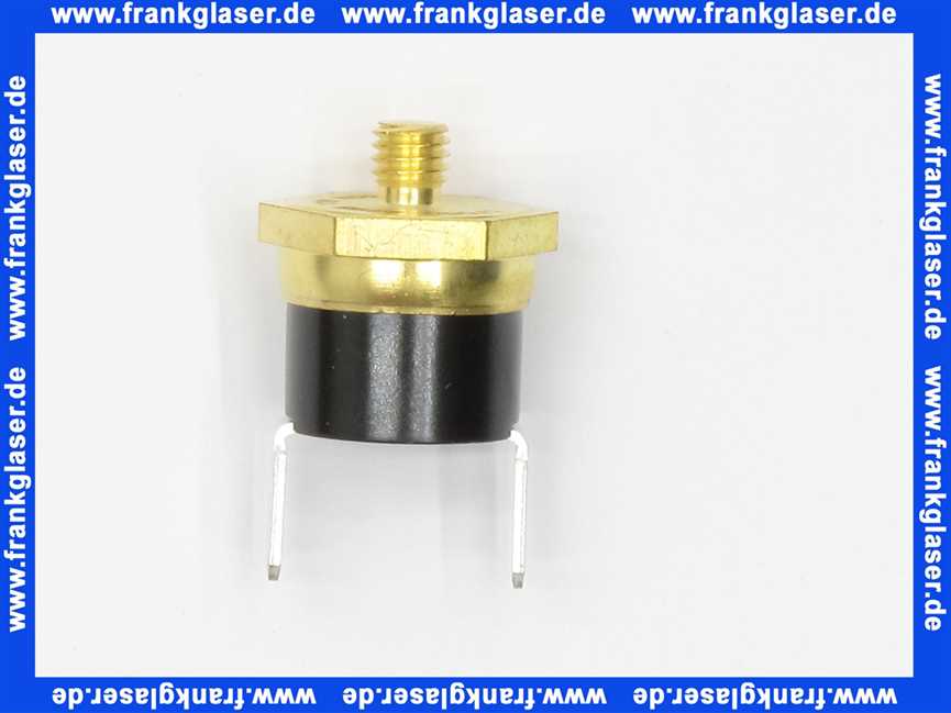 Bosch Temperaturbegrenzer 87229638580