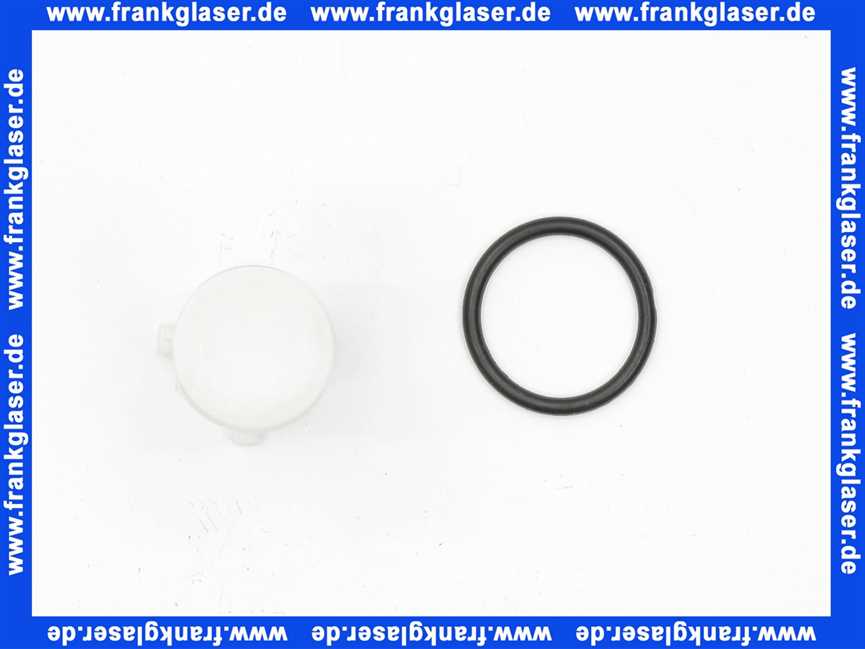 Bosch Wassersieb DN20 8733702123