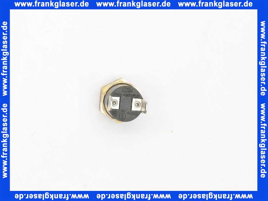 Bosch Temperaturbegrenzer 87379033990