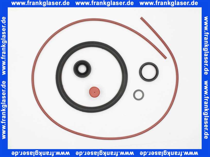 Bosch Dichtungsset B 8738901295