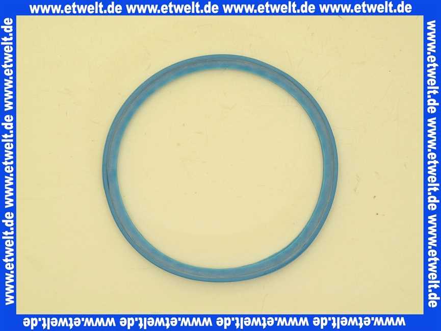 959841 Brötje Lippendichtung DN 100