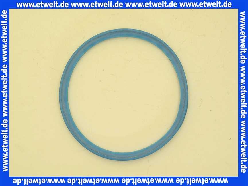 959841 Brötje Lippendichtung DN 100
