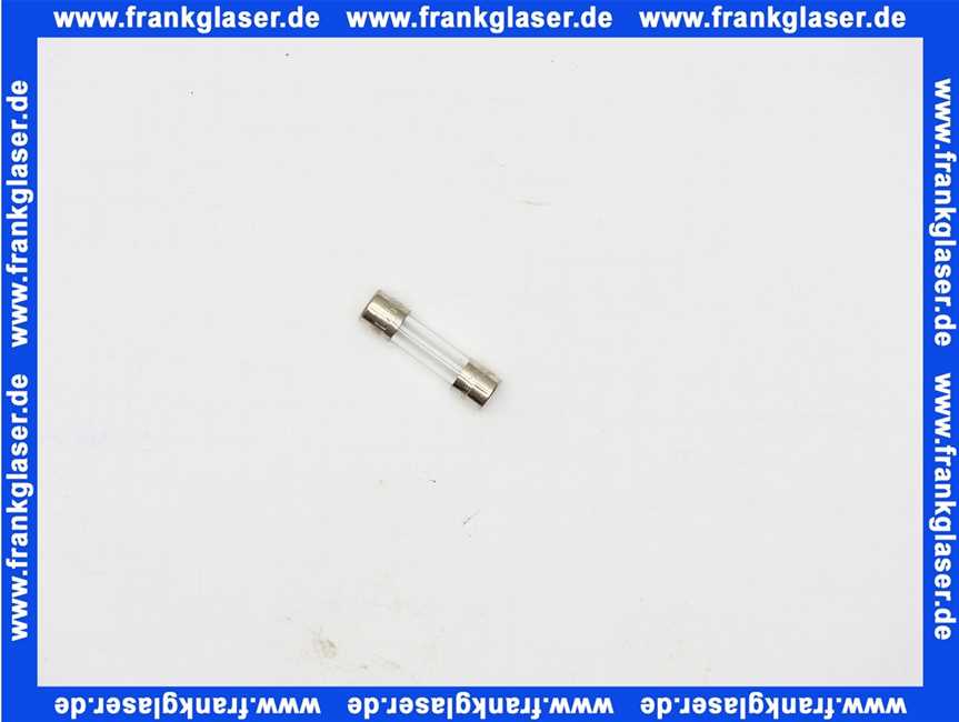 19045225450 Buderus Sicherung Feinsicherung T3,15A (1 STück)