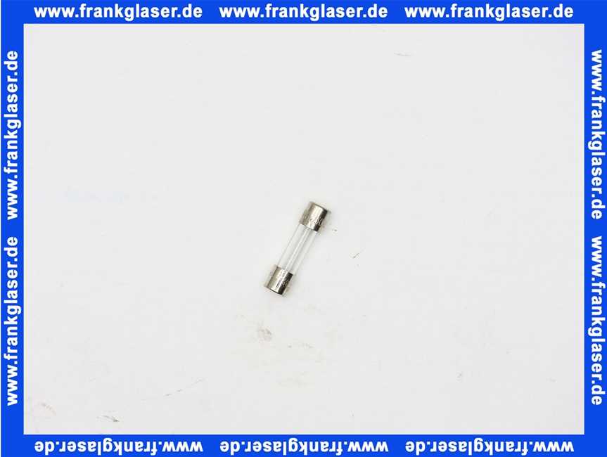 19045225450 Buderus Sicherung Feinsicherung T3,15A (1 STück)