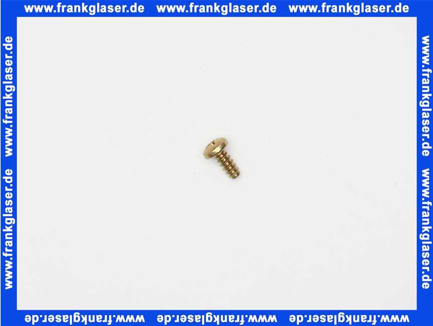 29106124240 Buderus Schraube 1 Stück