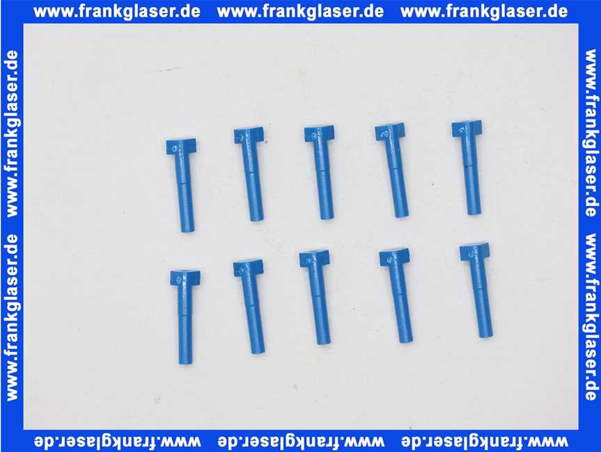 63029060 Buderus Scharnierstift blau (10x)