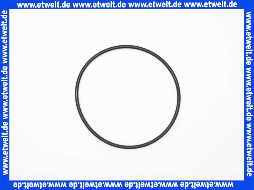 7098652 Buderus O-Ring Filter D95mm (1x)