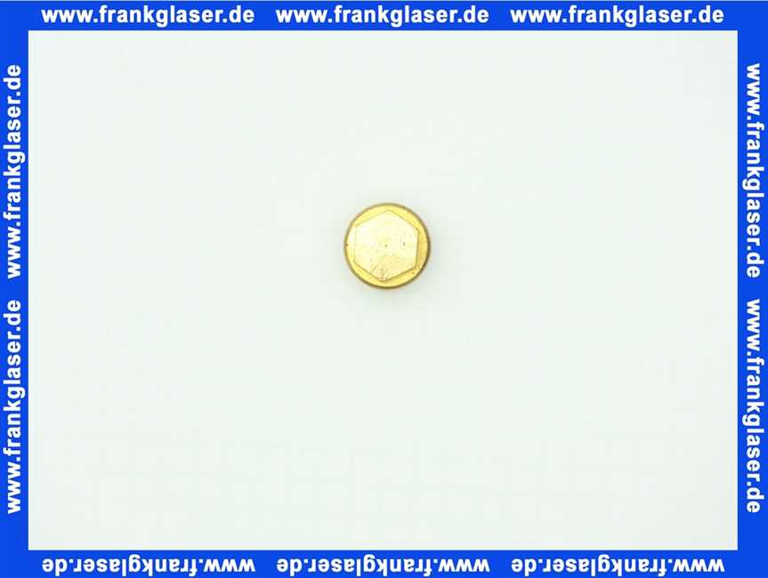 7100785 Buderus Stopfen M10x1