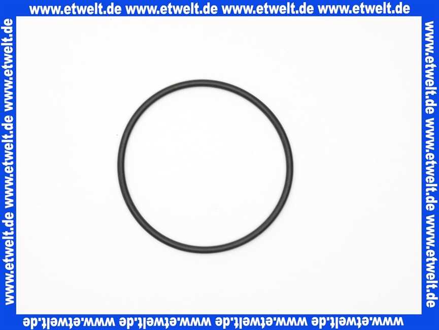 7736700104 Buderus O-Ring Askoll (1 Stück)