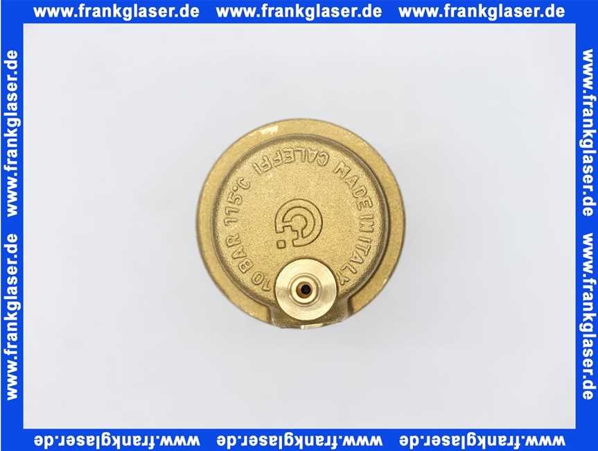 7736700731 Buderus Entlüfter mit Schlauchverbindung