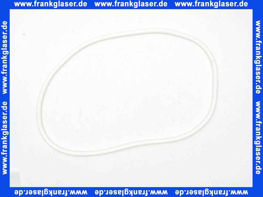 7746900152 Buderus Dichtung Kondenswassersammler 35-100kW