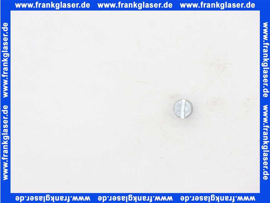 7747001831 Buderus Ablasschraube m. Dichtung H105-305