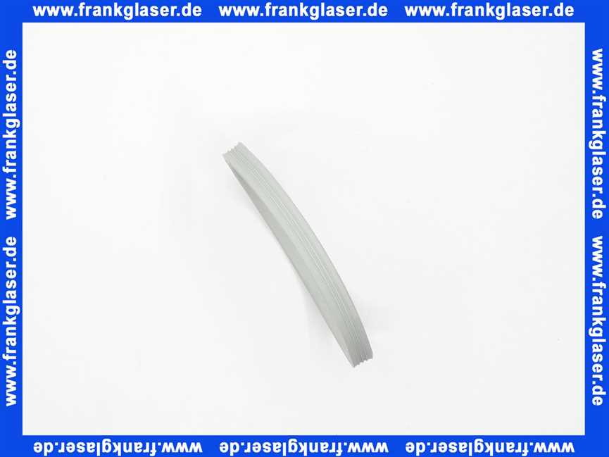 7747021733 Buderus Lippendichtung DN80 PerOxyd 1 Stück