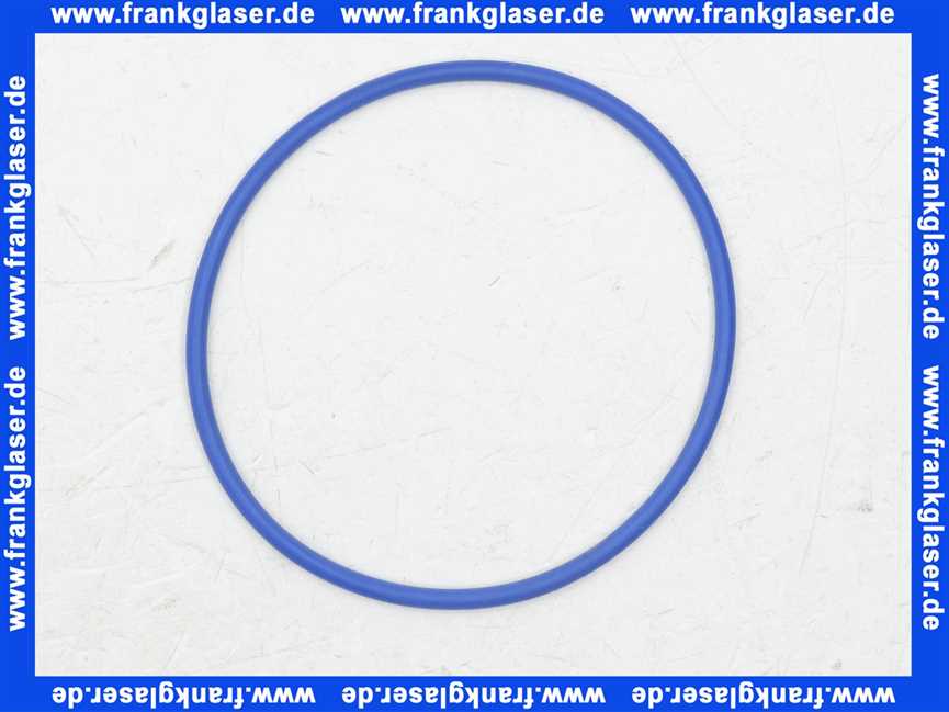 87092012 Buderus Dichtung Dichtring rund DN80 x 3,5 blau a 1 Stück