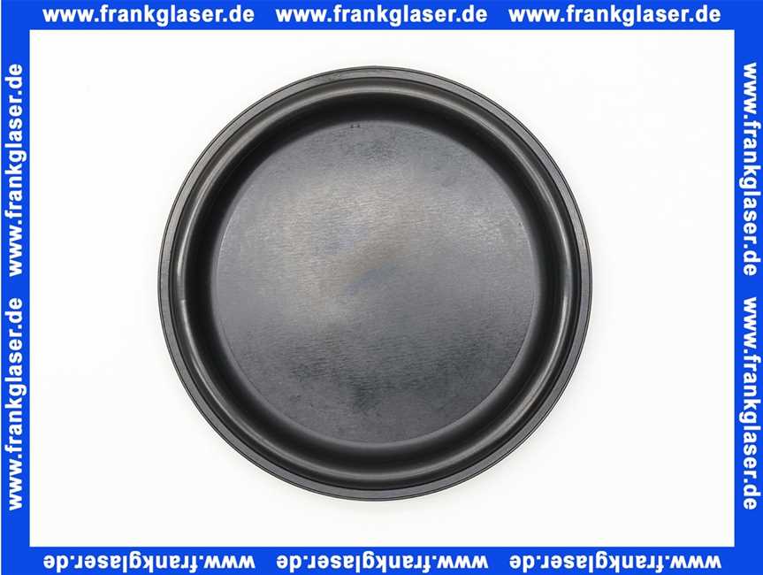 Buderus Dichtung DN110 87101031580