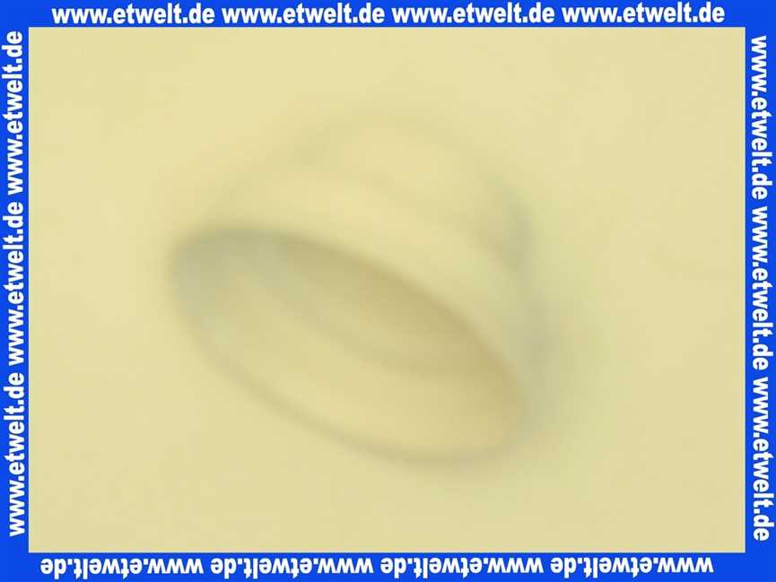 87161068400 Buderus Dichtgummi