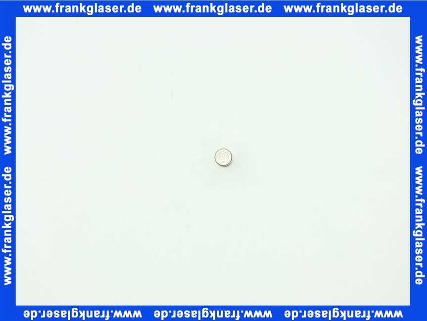 87185706640 Buderus Sicherungseinsatz 230V/10A 5x20mm 1 Stück