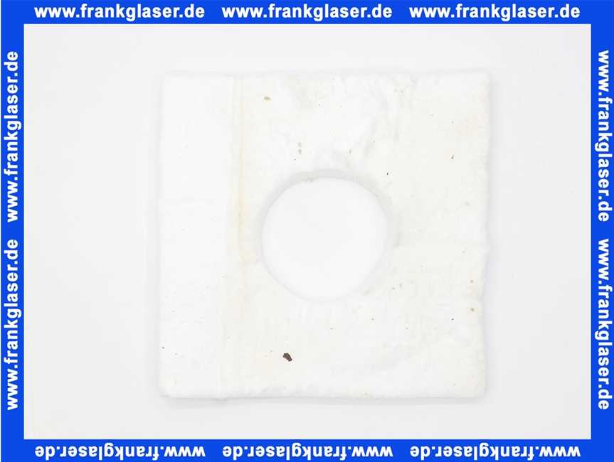 8718585019 Buderus Isolierplatte Br-Tür W607