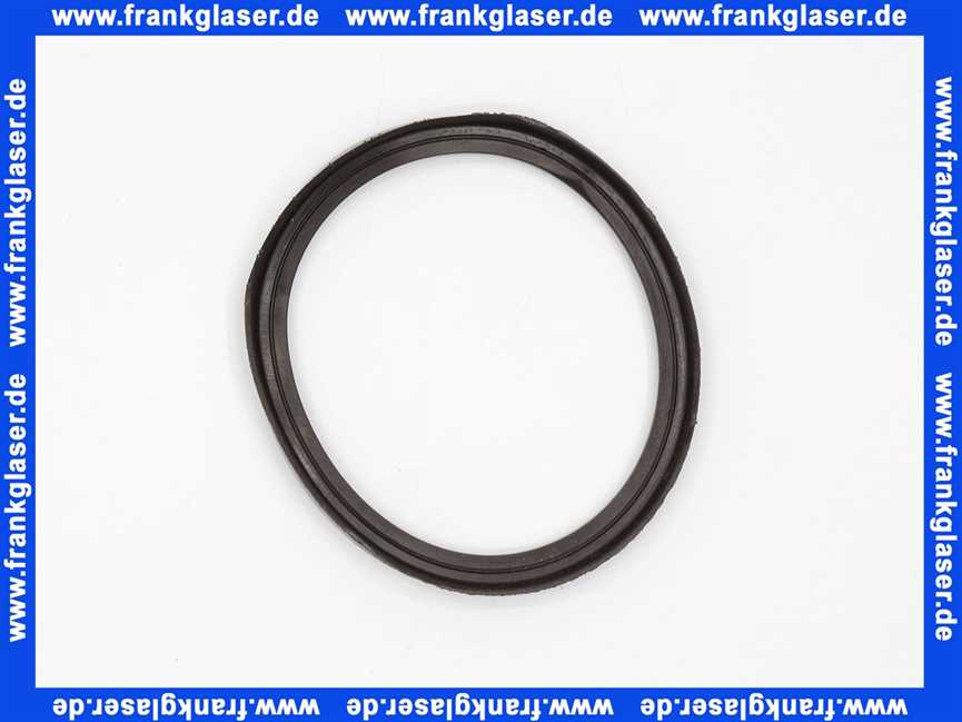 87290001830 Buderus Dichtring