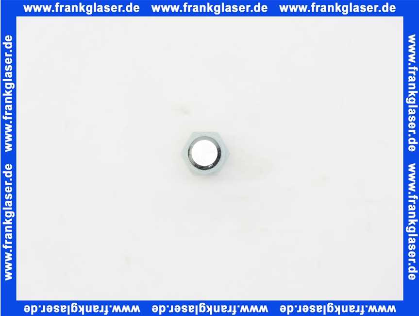 8738800060 Buderus Kugelbolzen