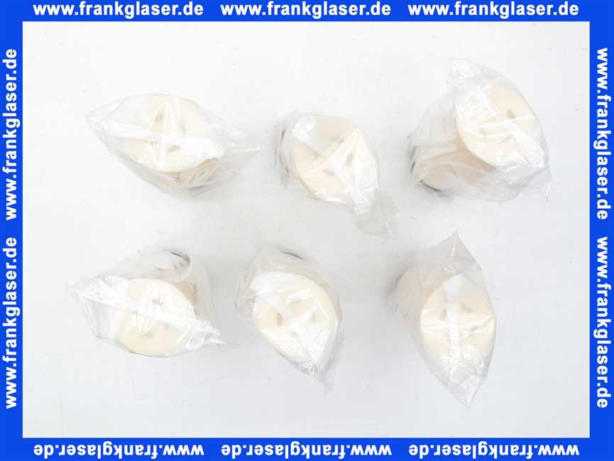 10994E BWT Filterelement für Schutzfilter Modul DN20 - 32 (6 Stück)