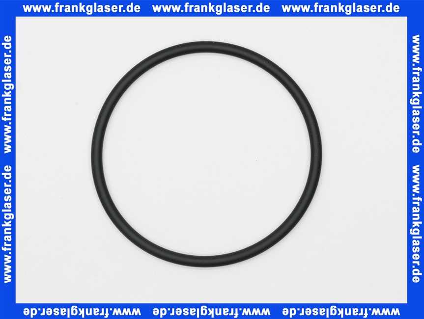 1181466 Bwt O-RING EP70 66x3.8 KTW