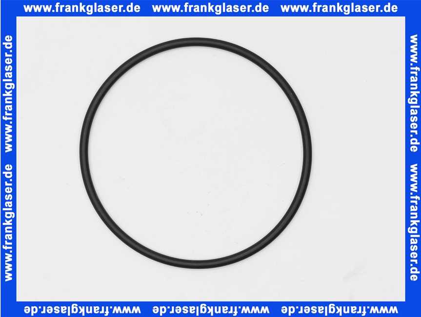 1181585 BWT O-Ring EP70 97X4