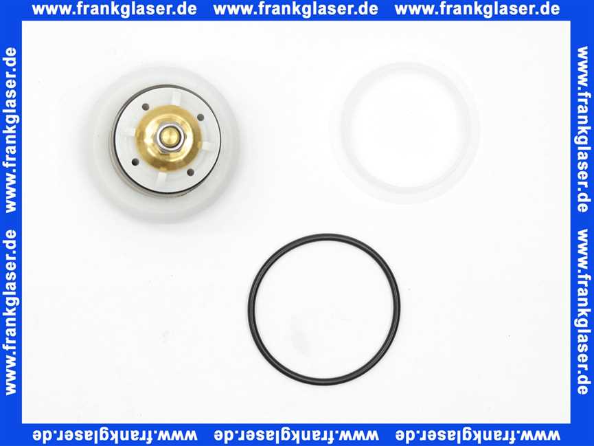 1902255 BWT Ventileinsatz f.DR-Modul Gr.1