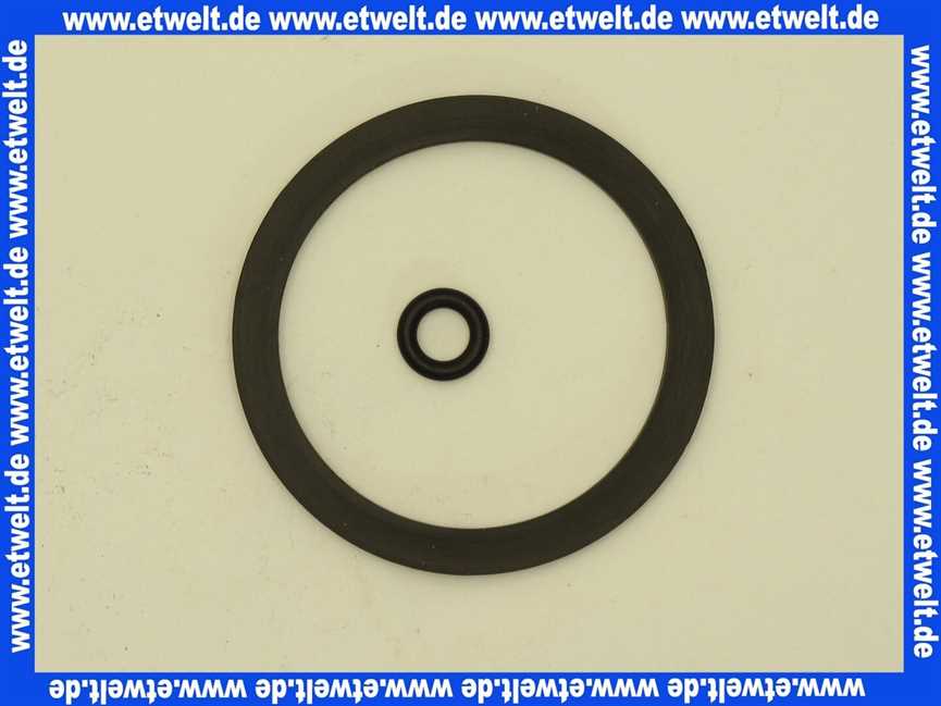 1902345 BWT Dichtungsset für RF / HWS Avanti und Bolero