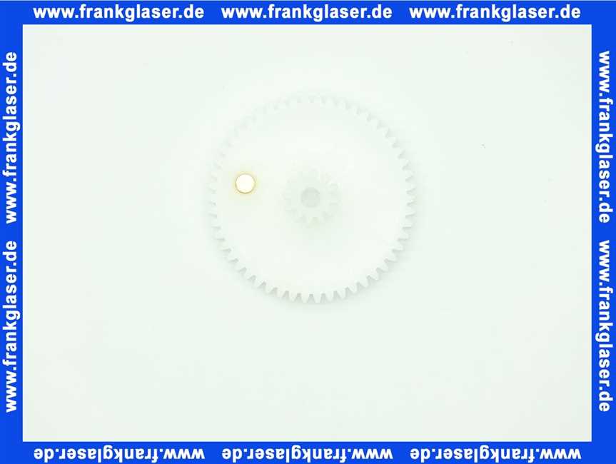 2060951 BWT Zahnrad mit Magnet