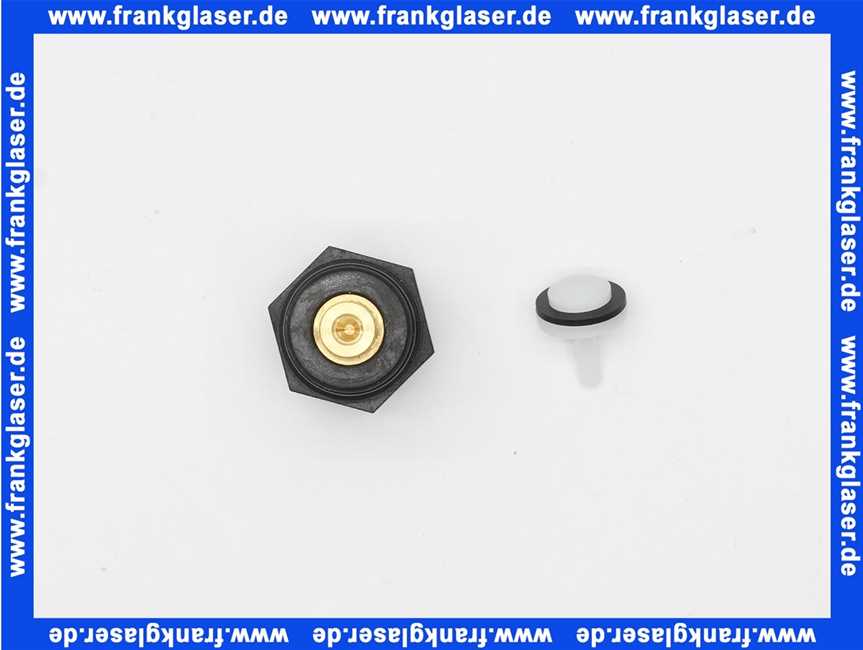 2061224 Bwt Verschneideventil für Motorantrieb Aquaperla