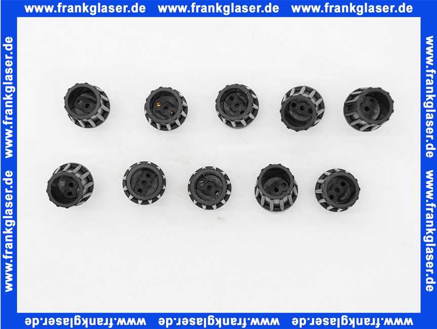 84236 BWT Ablassschraube Gr. 1 f.Schutzfilter VPE 10 Stück
