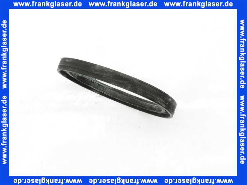 160973 Dallmer Lippendichtung